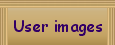 User motives